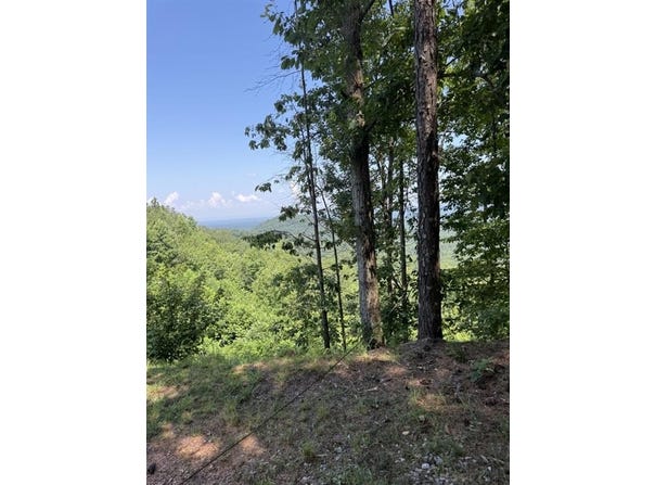 1588 Paladin Drive, Ranger, GA 30734