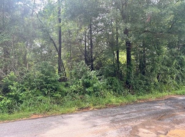 Cole Drive SE, Ruth, MS 39662