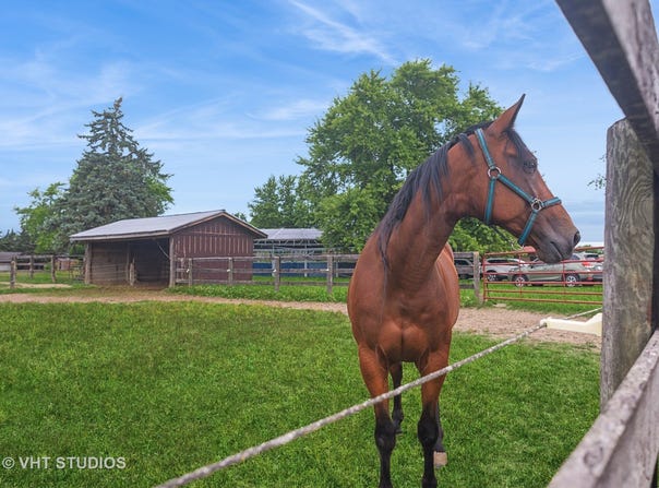 604 W New Monee Road, Crete, IL 60417
