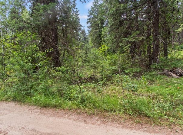 517 Susan Road lot: 41, Cascade, ID 83611