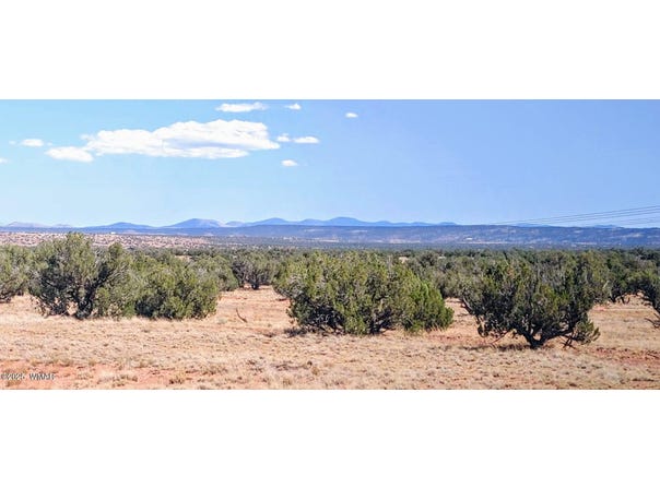 Lot 44 Ranch Of The White Mountains, Concho, AZ 85924