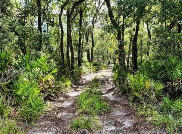 0000 SW COUNTY ROAD 347, CHIEFLAND, FL 32626
