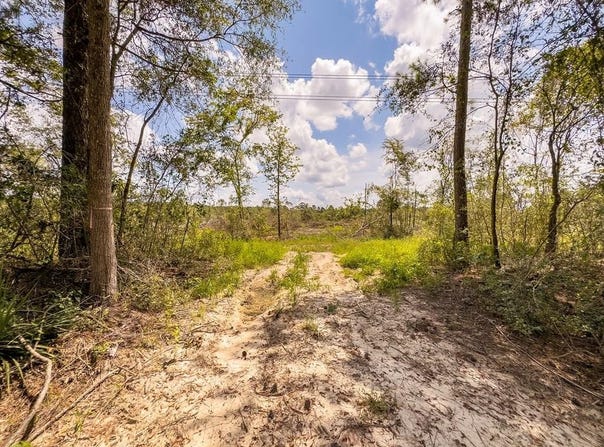 R53358 Tract 1 HWY 94, Apple Springs, TX 75926