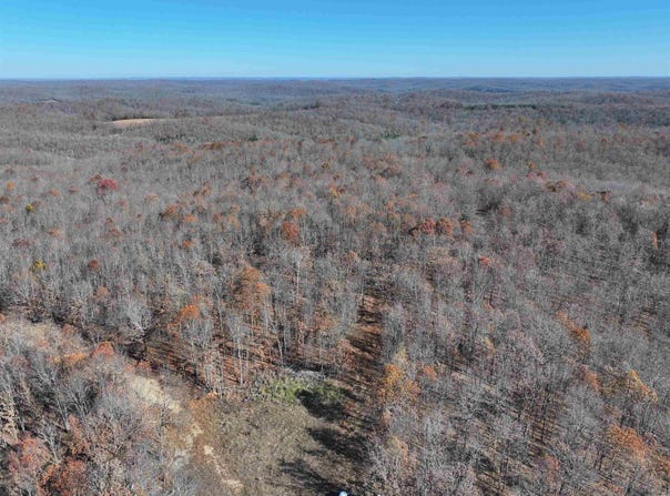 566 Bethany, Ravenden, AR 72459
