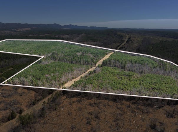 TBD Polk Road 639 Road, Vandervoort, AR 71972