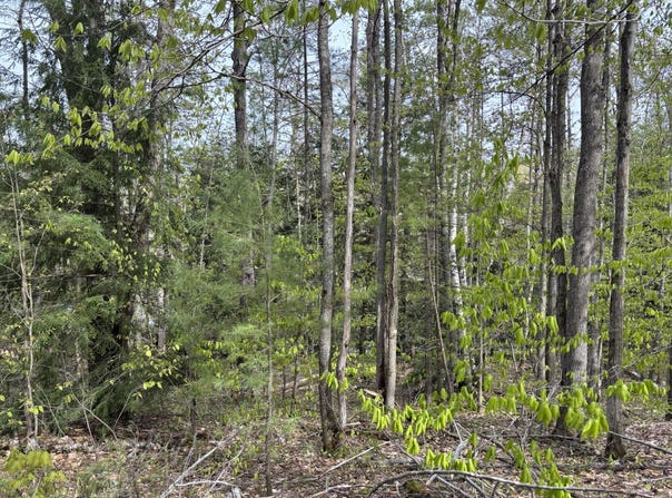 Cree Trail, Gaylord, MI 49735