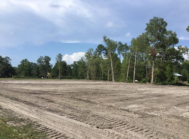 TBD Gardenia St, Wewahitchka, FL 32465