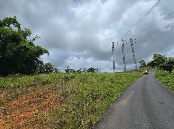 46 PARCELA EN BO JACANAS, YABUCOA, 00767