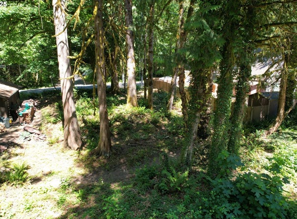 65065 E LUPINE DR, Rhododendron, OR 97049
