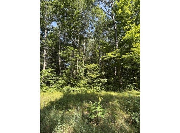 3628 Indian Trail Crossing, Hersey, MI 49639