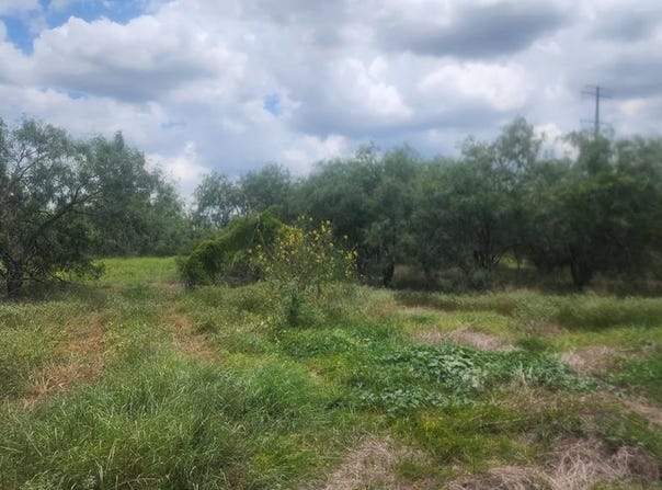 31099 FM 1575, LOS FRESNOS, TX 78566