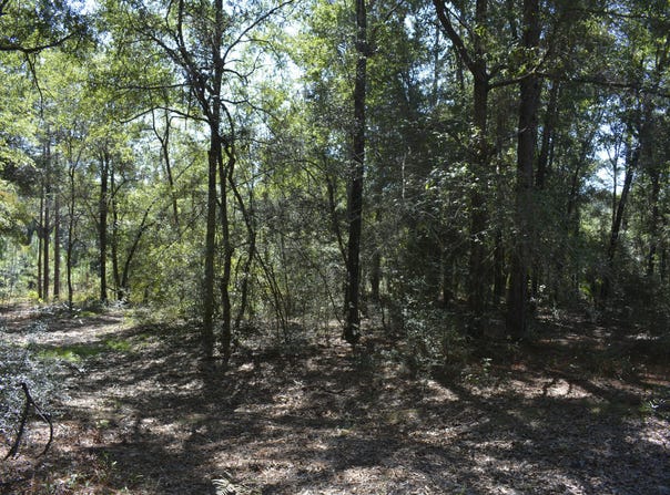 Aplin (32 ac.) Road, Crestview, FL 32539