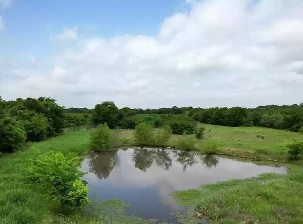Tolosa Road, Kemp, TX 75143