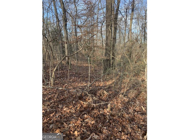 0 S Tanglewood, Royston, GA 30662