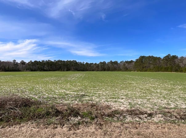 6005 Old Salkehatchie Rd, Early Branch, SC 29916