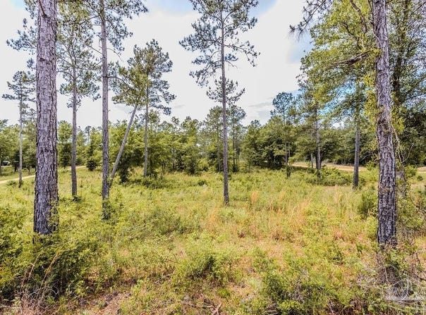 7435 Tidwell Rd, Pace, FL 32571