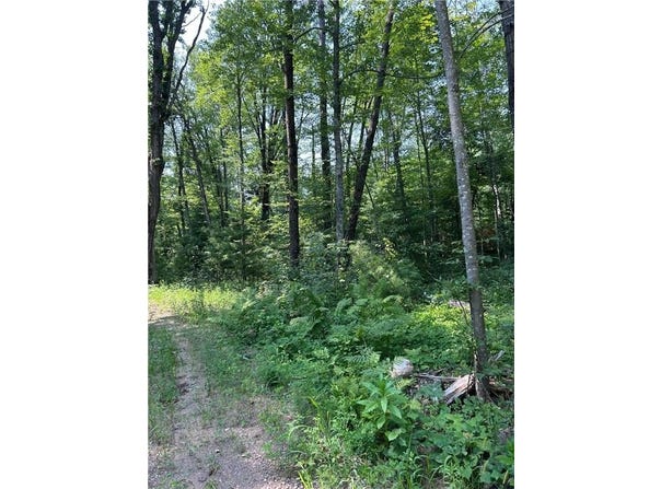 26987 Marias Way, Webster, WI 54893