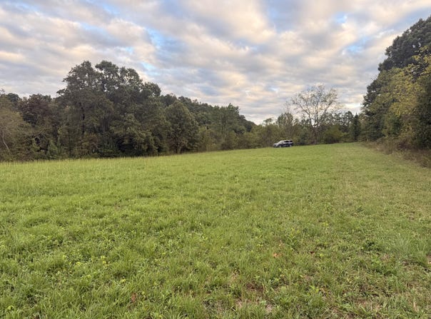 Walter McDaniels Road, East Bernstadt, KY 40729