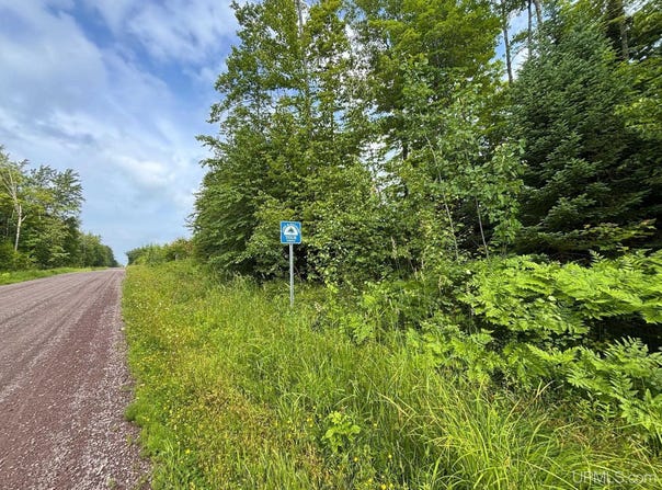 Bear Town Road, Baraga, MI 49908