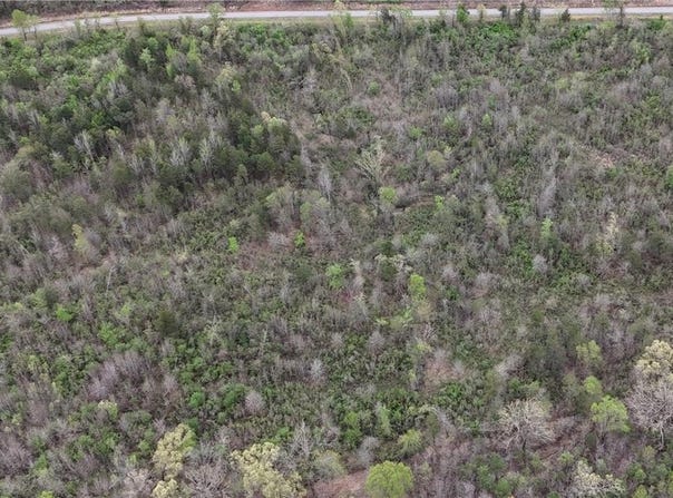 11.32 acre County Road 2228 (A), Hartman, AR 72840