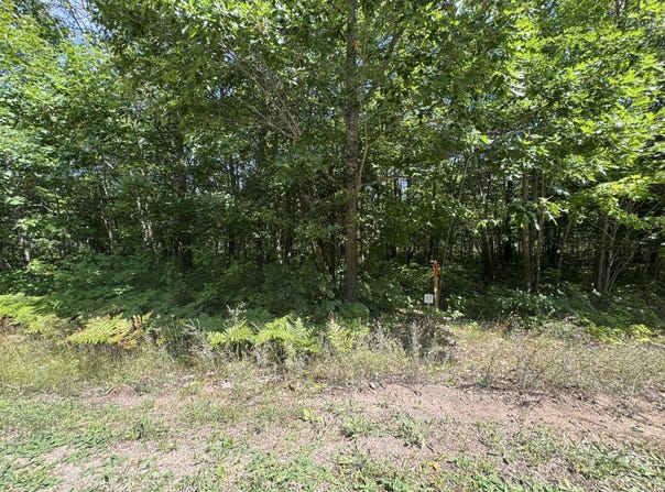 Deer Run Rd, Kinross, MI 49752