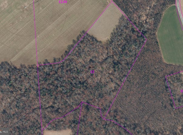 12145 GREGG ROAD, HARRINGTON, DE 19952