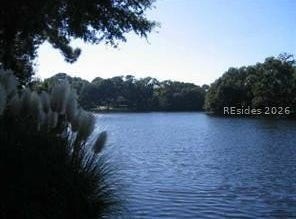 97 Mooring Buoy, Hilton Head Island, SC 29928