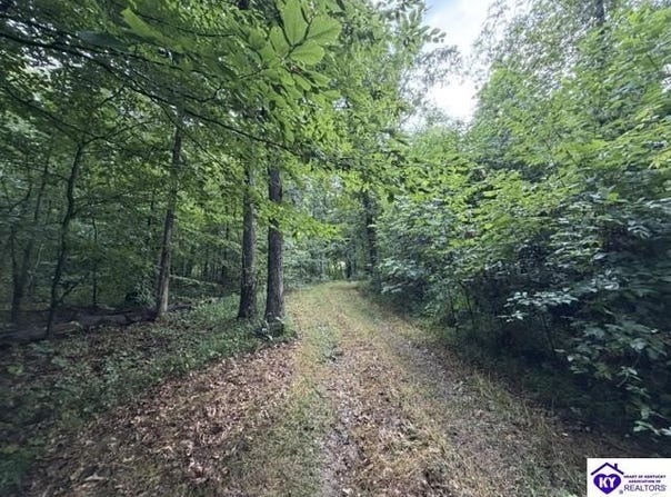 Tract G Sutzer Creek Road, Eastview, KY 42732