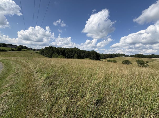 Lot #5 Anna Moore Road, Annville, KY 40402