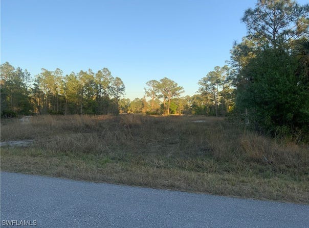 1316 Edison Avenue, Lehigh Acres, FL 33972
