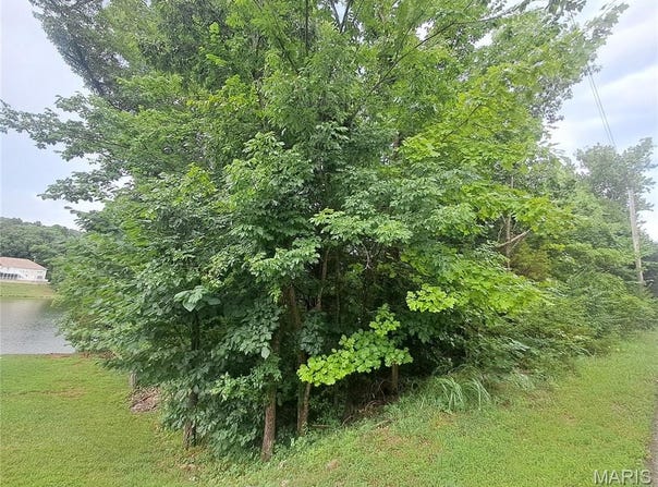 10509 Acorn Drive, Hillsboro, MO 63050
