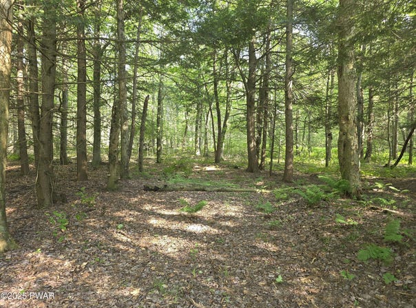 Lot #2 PA- 370, Poyntelle, PA 18454
