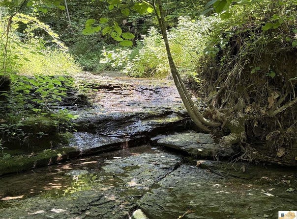 1755 Old 61 Loop Road, Breeding, KY 42715