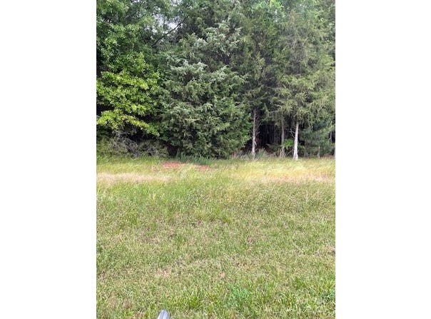 Woodglenn Road lot: 44, Catawba, SC 29704