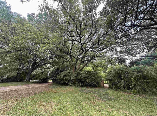 2557 Riverview Dr, Denham Springs, LA 70726