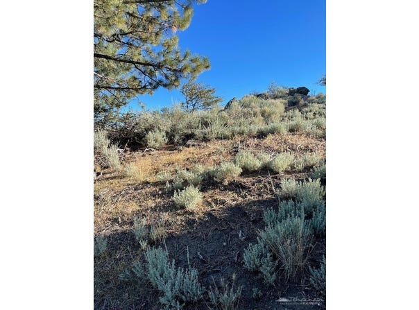 26710 Stirrup Way, Tehachapi, CA 93561