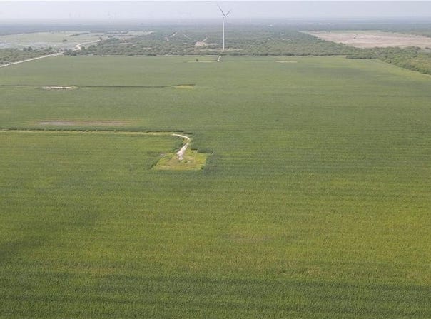 7855 Citation Avenue, Lyford, TX 78569