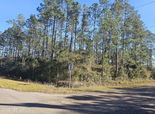 4075 CEDAR FORD Boulevard, Hastings, FL 32145