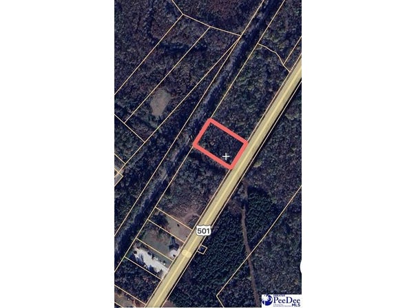 3131 S Highway 301, Dillon, SC 29536