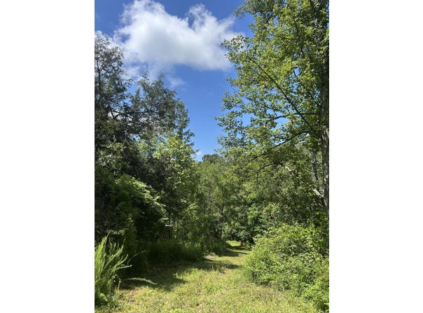 139 Dorsey Tolson Road, Campton, KY 41301