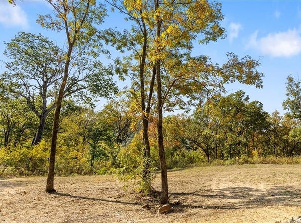 Lot 32 Peaceful  PL, Harrison, AR 72601