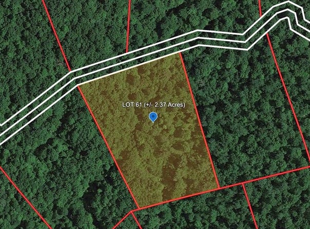 142 GERBER DAISY TRAIL, BRAGG, WV 25918