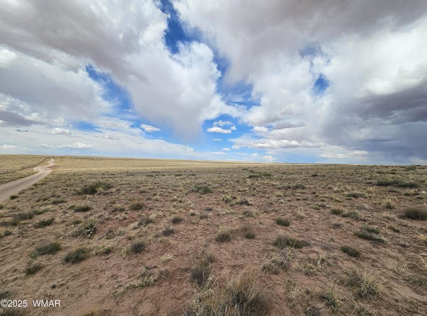 Lot 65 Rancho, Sun Valley, AZ 86029