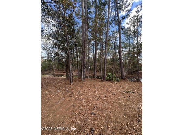 SW 162ND TER, Starke, FL 32091