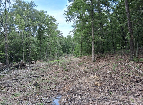 Tbd County Road 350, Dora, MO 65637