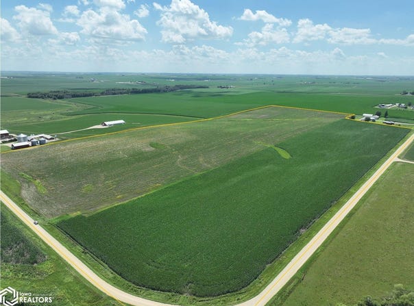 295th, Manchester, IA 52057