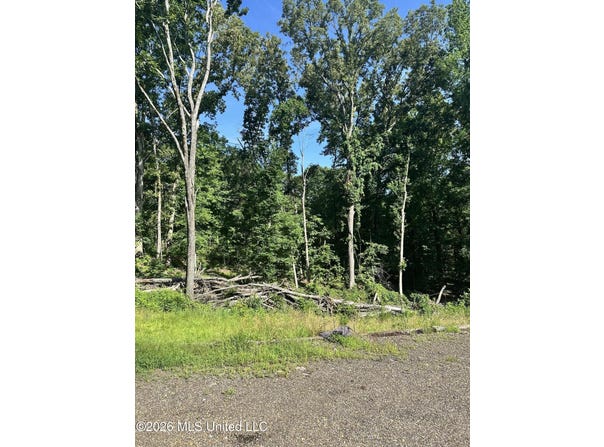 130 Kimes Cove, Sardis, MS 38666