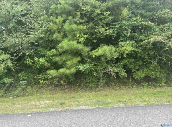 E Meighan Boulevard, Gadsden, AL 35901