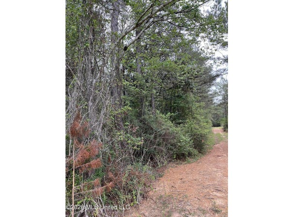 Hwy 49 lot: 1, Brooklyn, MS 39425