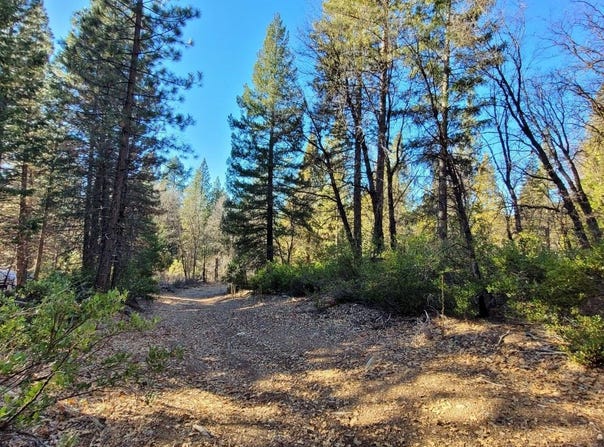 59791 Highway 70, Blairsden, CA 96103